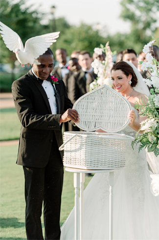 Dove release for weddings